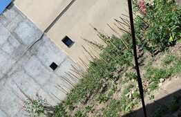 Oportunitate! Casă 5 camere, 120 mp, 497 mp teren, zona Cetatii