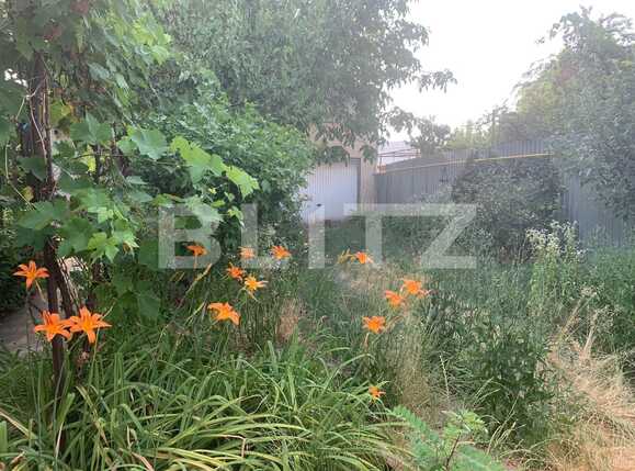 Casa de vânzare 6 camere Episcopia Bihorului - 67492CV | BLITZ Oradea | Poza16