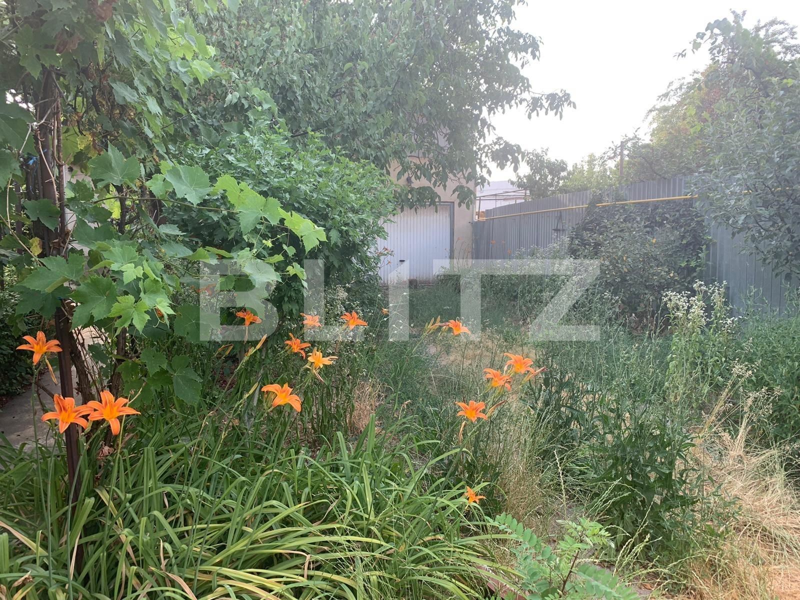 Casa de vânzare 6 camere Episcopia Bihorului - 67492CV | BLITZ Oradea | Poza16