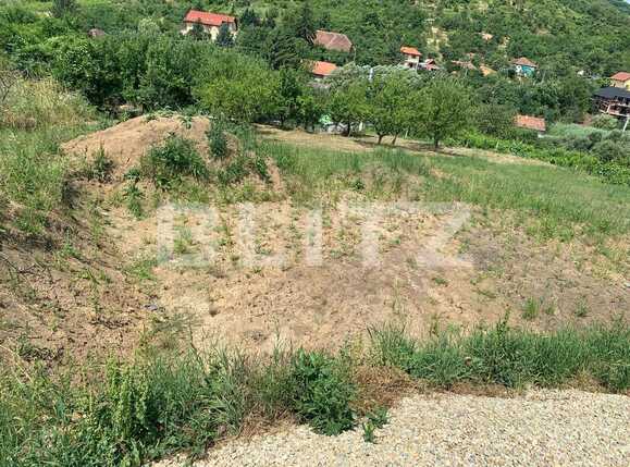 Teren de vânzare Podgoria - 67522TV | BLITZ Oradea | Poza3