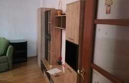 Apartament de inchiriat, 2 camere, 60 mp, Bulevardul Decebal 
