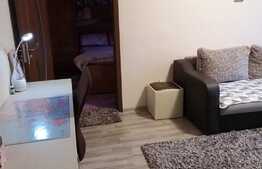 Apartament de vanzare cu 2 camere, situat in zona Nufarul !!!