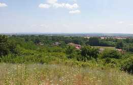 Teren de 1036 mp, panorama, Podgoria!