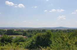 Teren de 1036 mp, panorama, Podgoria!