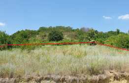 Teren de 1036 mp, panorama, Podgoria!