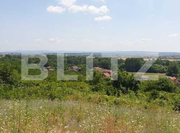 Teren de vânzare Podgoria - 67649TV | BLITZ Oradea | Poza4