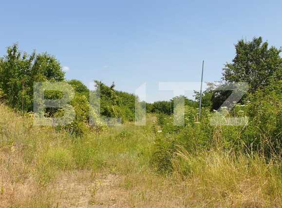 Teren de vânzare Podgoria - 67649TV | BLITZ Oradea | Poza5