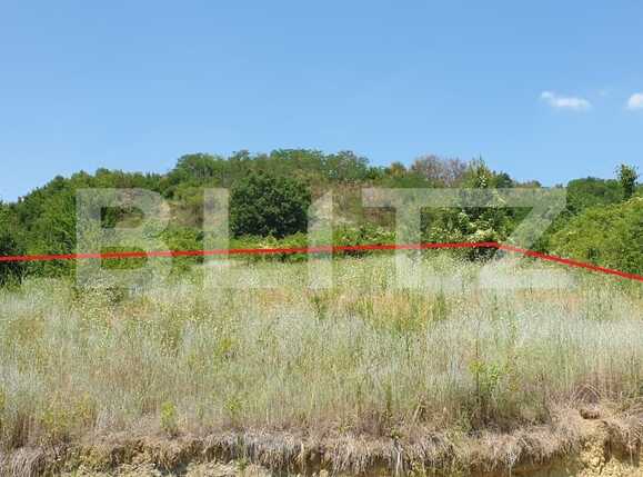 Teren de vânzare Podgoria - 67649TV | BLITZ Oradea | Poza3