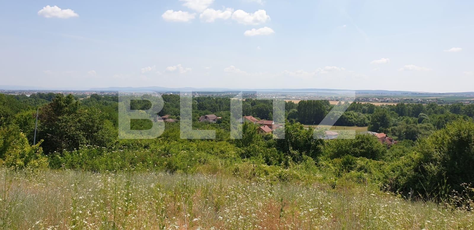 Teren de vânzare Podgoria - 67649TV | BLITZ Oradea | Poza4