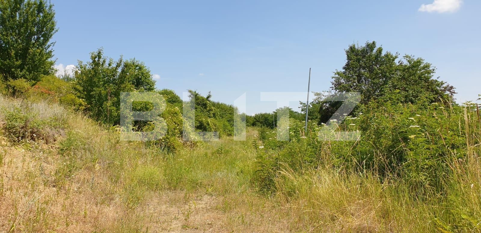 Teren de vânzare Podgoria - 67649TV | BLITZ Oradea | Poza5