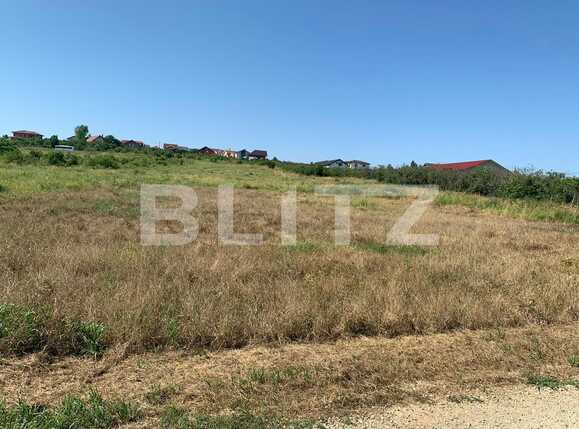 Teren de vânzare Paleu - 67779TV | BLITZ Oradea | Poza2