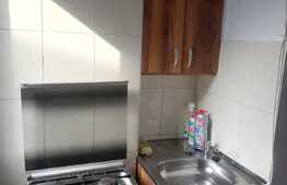 Apartament la prima inchiriere, 2 camere, decomandat,  48 mp, zona Nufarul 