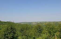 Teren de 1150 mp, Gheorghe Doja