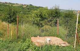 Teren de 1150 mp, Gheorghe Doja
