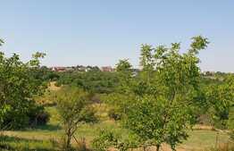 Teren de 1150 mp, Gheorghe Doja