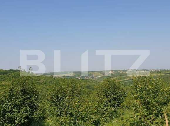 Teren de vânzare Dealuri Oradea - 67926TV | BLITZ Oradea | Poza4