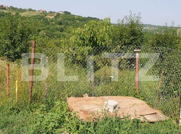 Teren de vânzare Dealuri Oradea - 67926TV | BLITZ Oradea | Poza3