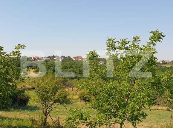 Teren de vânzare Dealuri Oradea - 67926TV | BLITZ Oradea | Poza2