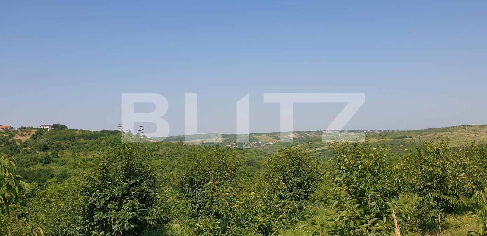 Teren de vânzare Dealuri Oradea - 67926TV | BLITZ Oradea | Poza4