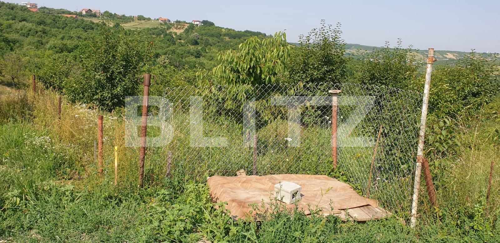 Teren de vânzare Dealuri Oradea - 67926TV | BLITZ Oradea | Poza3