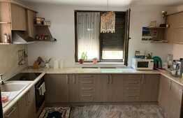 Casă spațioasă cu grădină în zona Nufărul 2 ,180 mp utili, teren de 500 mp