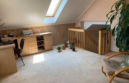 Casă spațioasă cu grădină în zona Nufărul 2 ,180 mp utili, teren de 500 mp