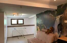 Casă spațioasă cu grădină în zona Nufărul 2 ,180 mp utili, teren de 500 mp