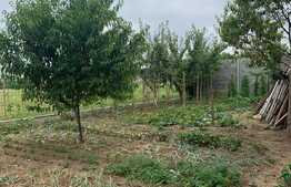 Oportunitate! Casă 180 mp utili, teren de 539 mp, în Grigorescu