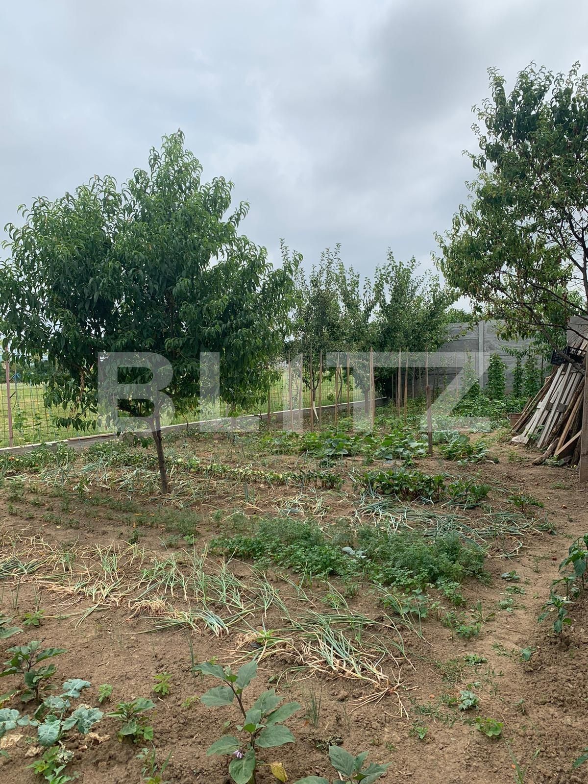 Casa de vânzare 6 camere Nicolae Grigorescu - 68339CV | BLITZ Oradea | Poza5