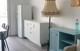 Apartament cu 2 camere, de inchiriat in zona Nufarul 