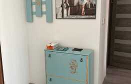 Apartament cu 2 camere, de inchiriat in zona Nufarul 