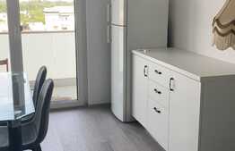 Apartament cu 2 camere, de inchiriat in zona Nufarul 