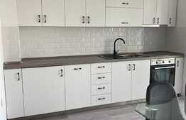 Apartament cu 2 camere, de inchiriat in zona Nufarul 