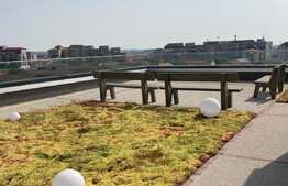 Apartament cu 2 camere, de inchiriat in zona Nufarul 