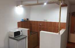 Garsoniera de inchiriat in zona Nufarul 