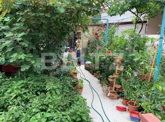 Casa de vânzare 4 camere Cantemir - 68485CV | BLITZ Oradea | Poza3