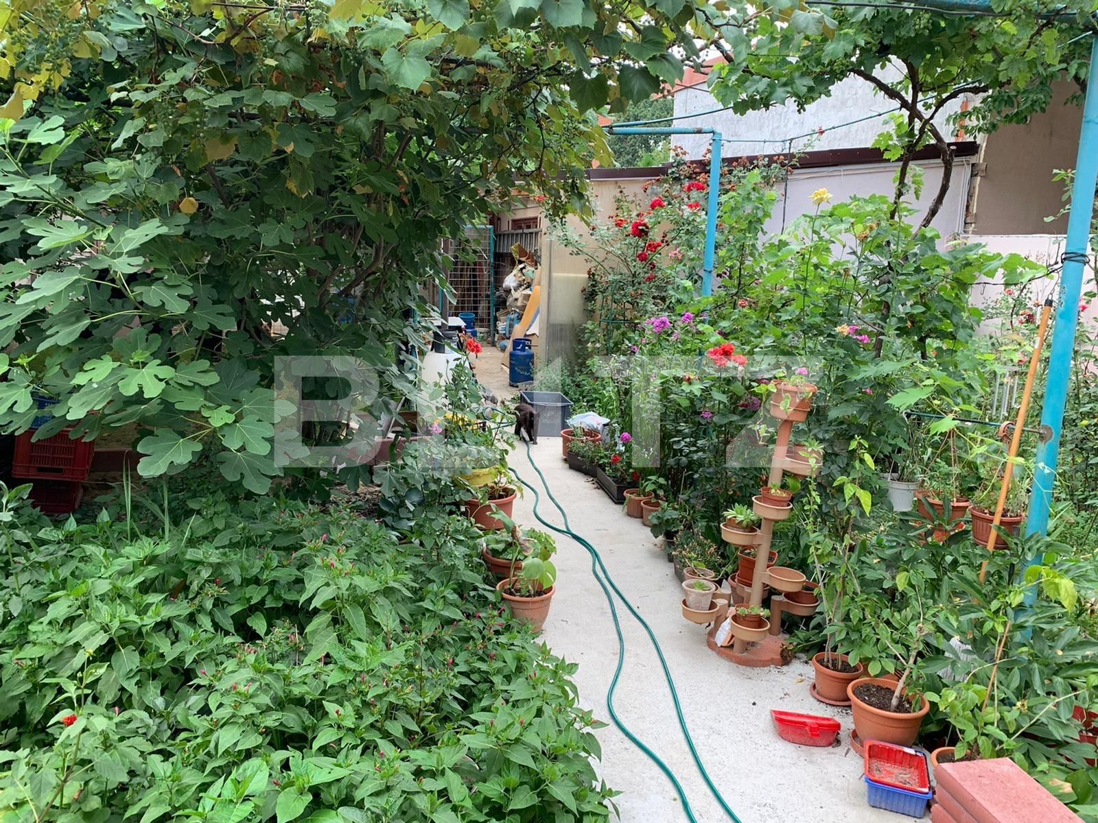 Casa de vânzare 4 camere Cantemir - 68485CV | BLITZ Oradea | Poza3