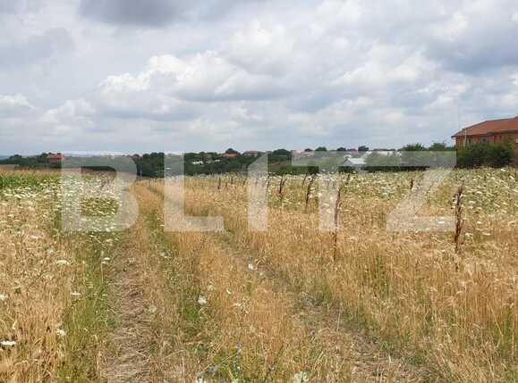 Teren de vânzare Est - 68509TV | BLITZ Oradea | Poza4