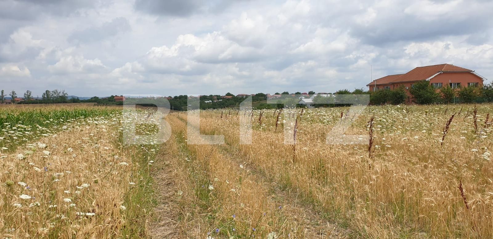 Teren de vânzare Est - 68509TV | BLITZ Oradea | Poza4