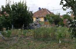 Casă de 3 camere, 506 mp teren în Ioșia!