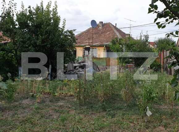 Casa de vânzare 3 camere Iosia - 68519CV | BLITZ Oradea | Poza3