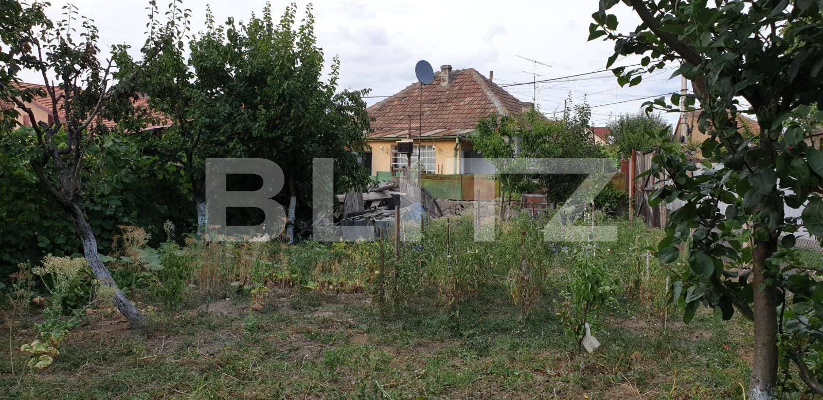 Casa de vânzare 3 camere Iosia - 68519CV | BLITZ Oradea | Poza3