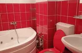 SUPER OFERTA !!! Apartament de vanzare in zona Nufarul cu 3 camere !!!