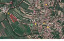 Teren de 5000 mp Felix Cordău