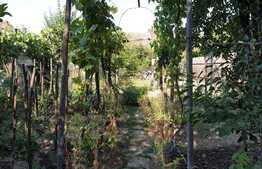 Casă de 90 mp și curte de 317 mp lângă Lotus