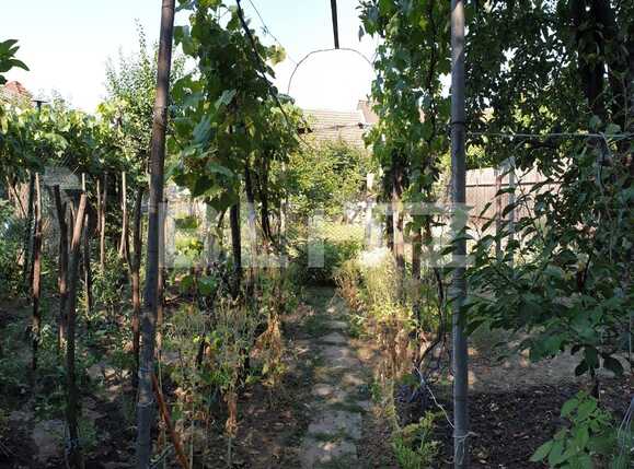 Casa de vânzare 3 camere Nufarul - 68646CV | BLITZ Oradea | Poza7