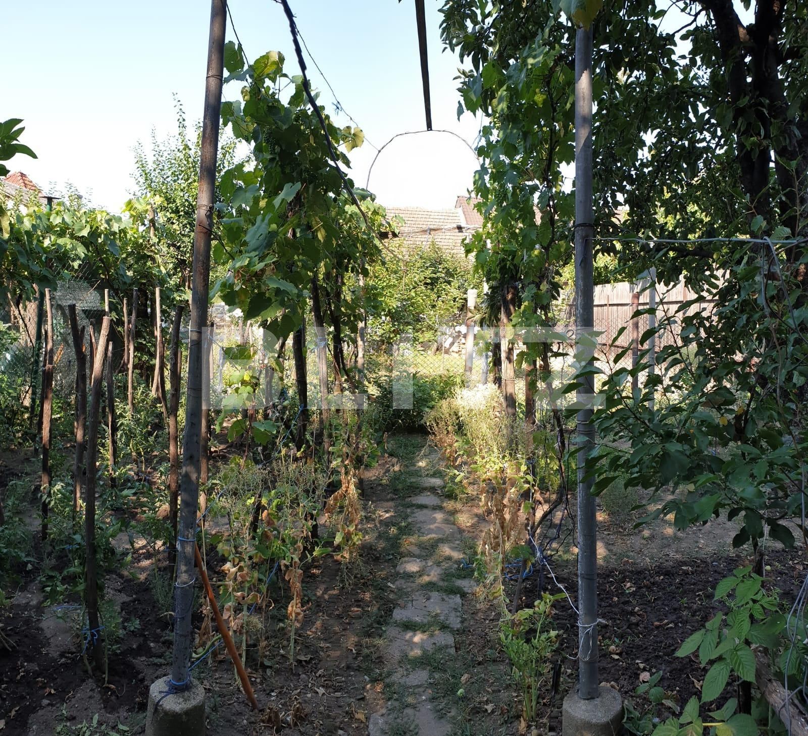 Casa de vânzare 3 camere Nufarul - 68646CV | BLITZ Oradea | Poza7