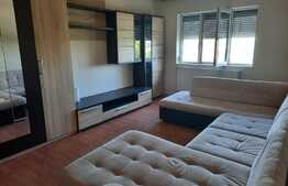 Apartament de 3 camere, PB mare, decomandat, spațios și luminos, oportunitate