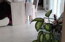 Apartament nou, 3 camere, 105 mp, Zona Nufarul