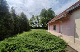 Casa in Ungaria, teren de 1438 mp